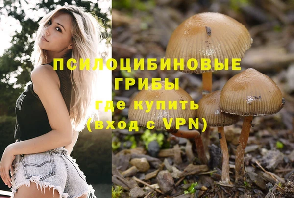 тгк Каменск-Шахтинский