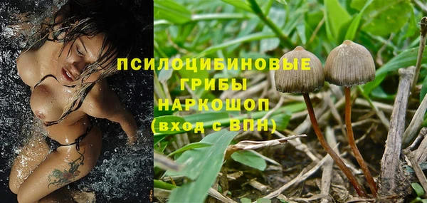 стафф Каменка