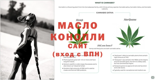тгк Каменск-Шахтинский