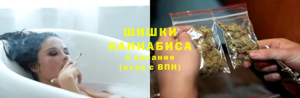 стафф Каменка
