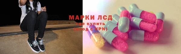 стафф Каменка