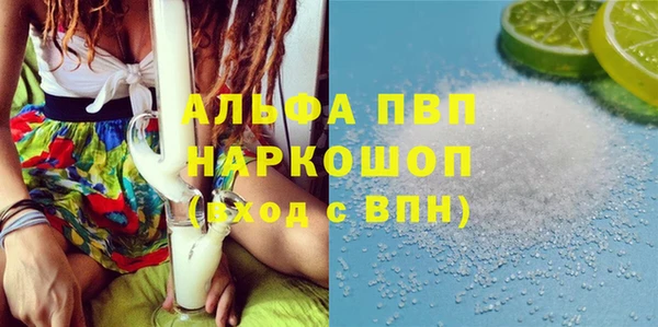 стафф Каменка