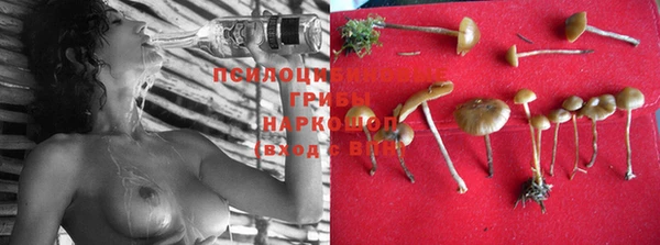 марки lsd Каменногорск
